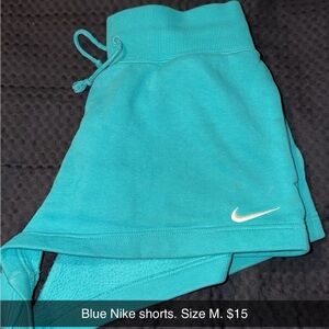 Nike Women's Teal Skort